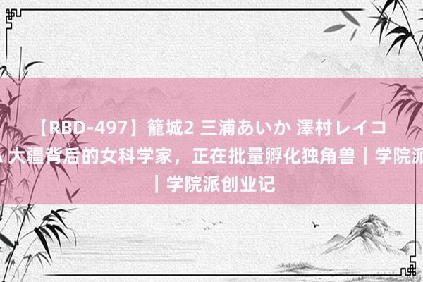 【RBD-497】籠城2 三浦あいか 澤村レイコ ASUKA 大疆背后的女科学家，正在批量孵化独角兽｜学院派创业记