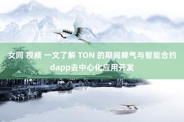 女同 视频 一文了解 TON 的期间脾气与智能合约dapp去中心化应用开发