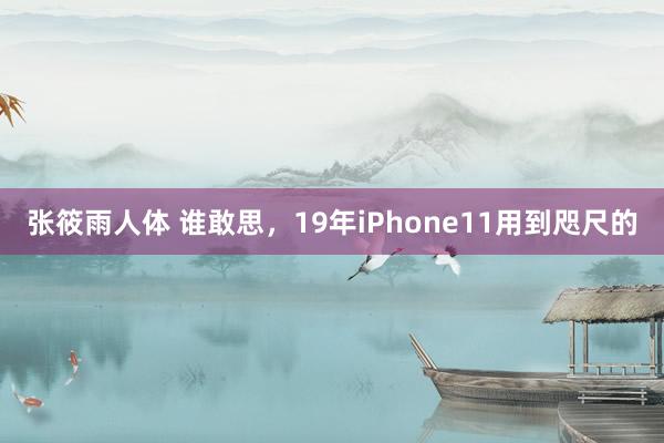 张筱雨人体 谁敢思，19年iPhone11用到咫尺的