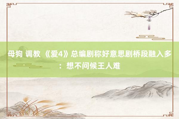 母狗 调教 《爱4》总编剧称好意思剧桥段融入多：想不问候王人难